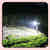 After Image