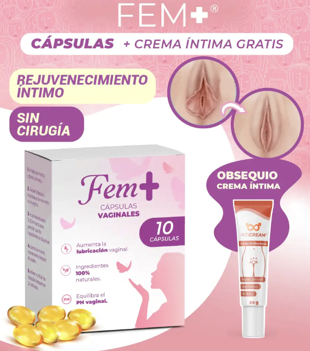 FEM+ [PV2-META-IMPORTSGUATE]